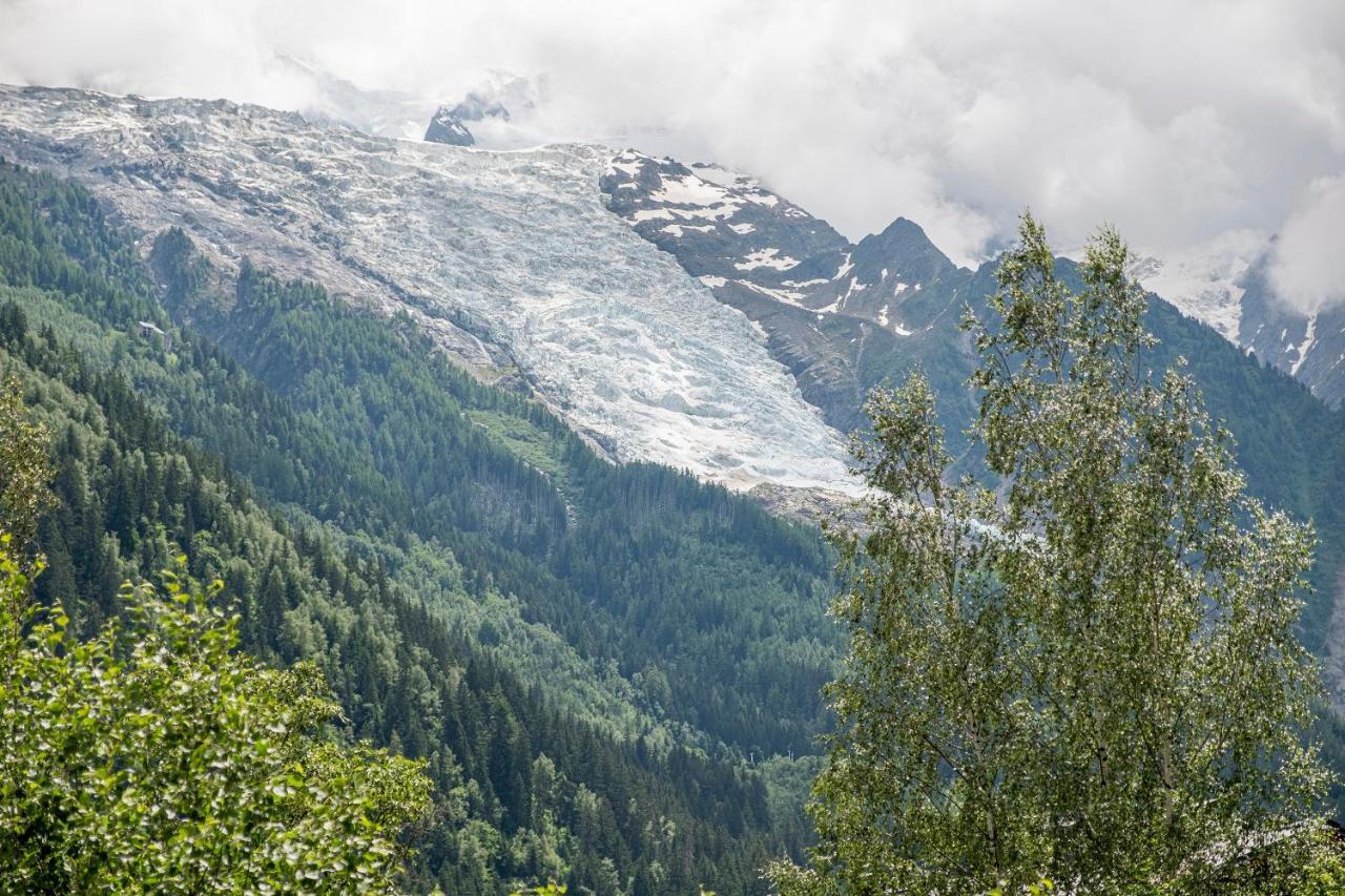 Au Coeur Du Glacier 샤모니 외부 사진